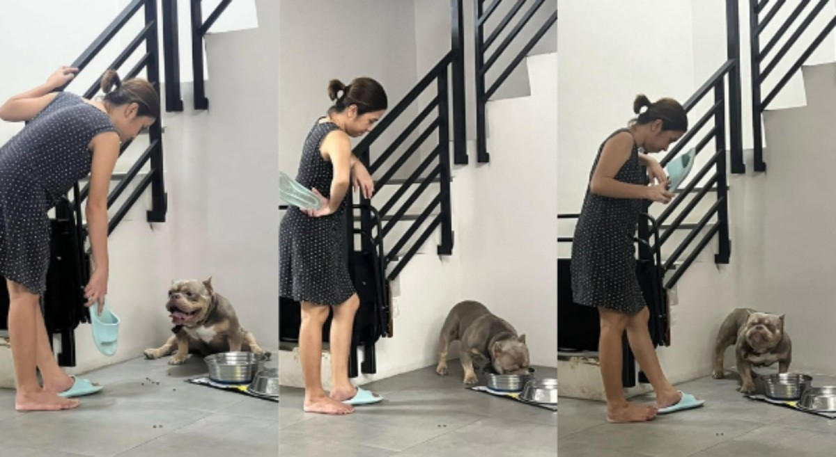 Furbaby na nag-iinarte sa dog food, kinagiliwan