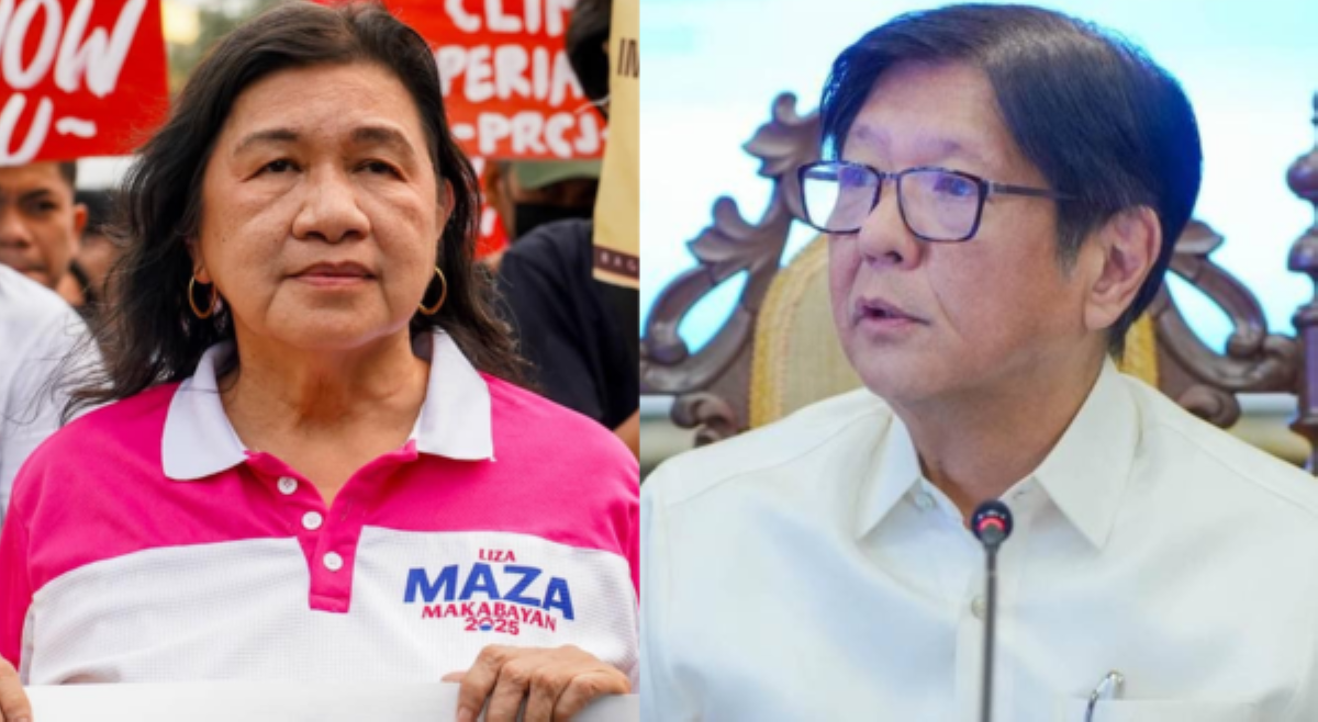 Liza Maza sa PBBM admin: &lsquo;Puro porma pero inutil!&rsquo;
