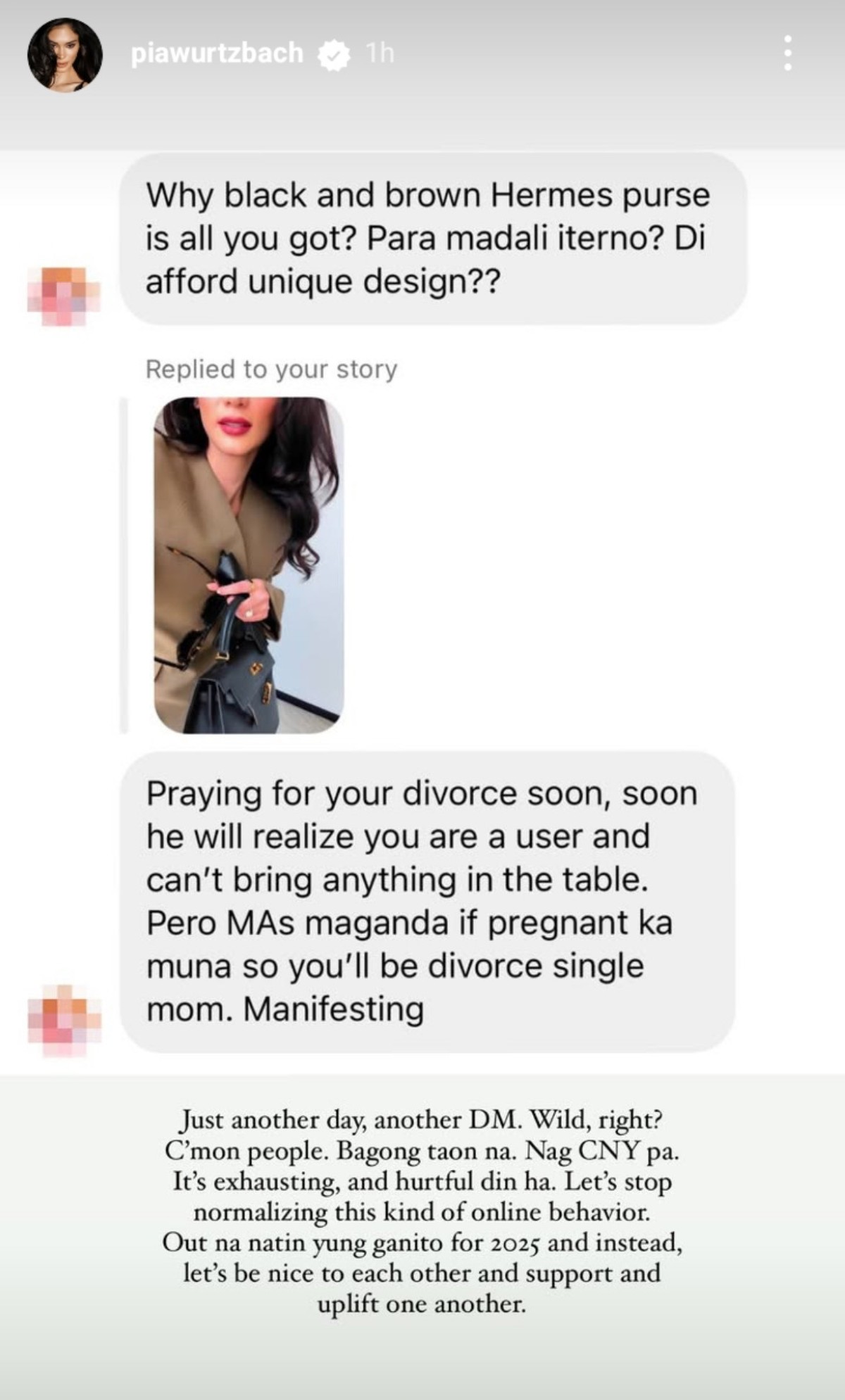 Photo courtesy: Screenshot from Pia Wurtzbach (IG)