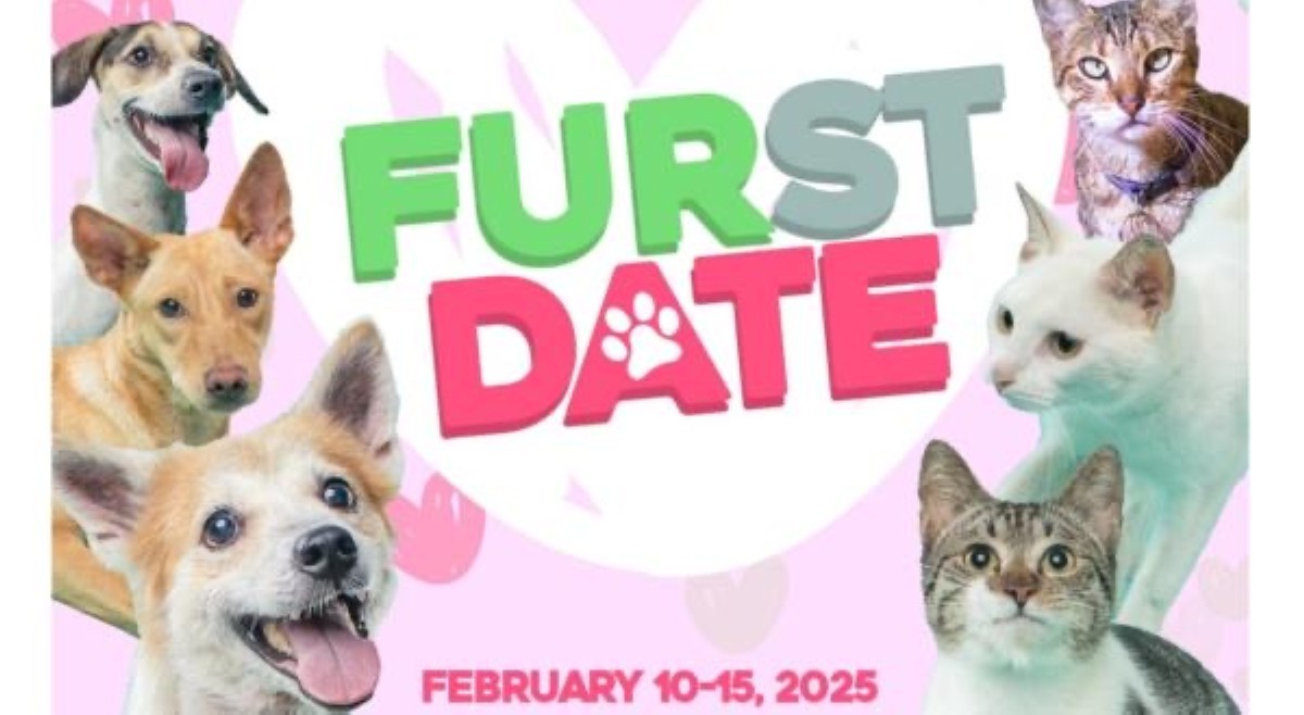 &lsquo;Purrfect date!&rsquo; PAWS, handog ang &lsquo;FURST DATE&rsquo; para sa animal lovers sa Valentine&rsquo;s Day