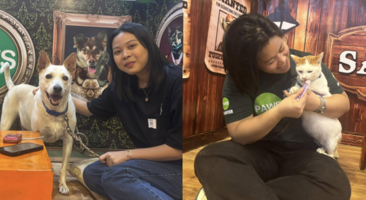 Rescued fur babies ng PAWS, pinasaya kanilang date na hoomans ngayong &lsquo;season of love&rsquo;