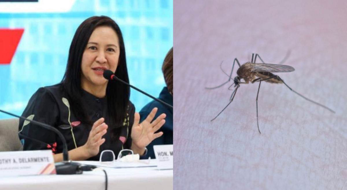 Quezon City, nagdeklara ng dengue outbreak