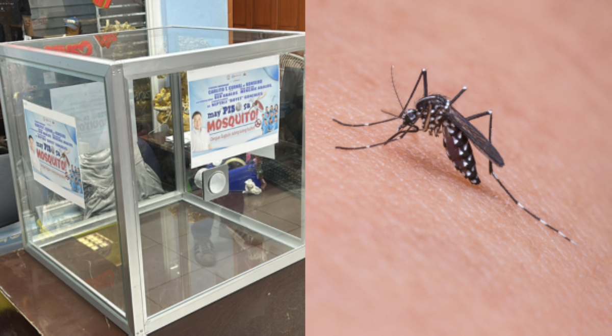 Kampanya ng Mandaluyong kontra Dengue, dinaan sa pabuya: 'May Piso sa Mosquito!'