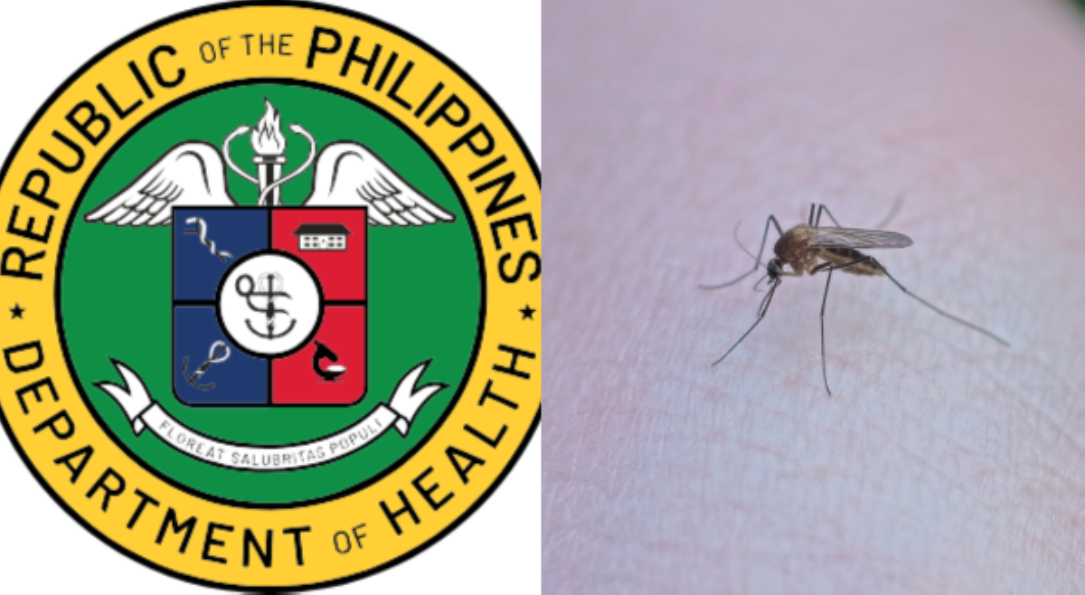 Iba pang mga lugar sa bansa, inaasahang magdedeklara ng 'dengue outbreak'<b>&mdash;DOH</b>