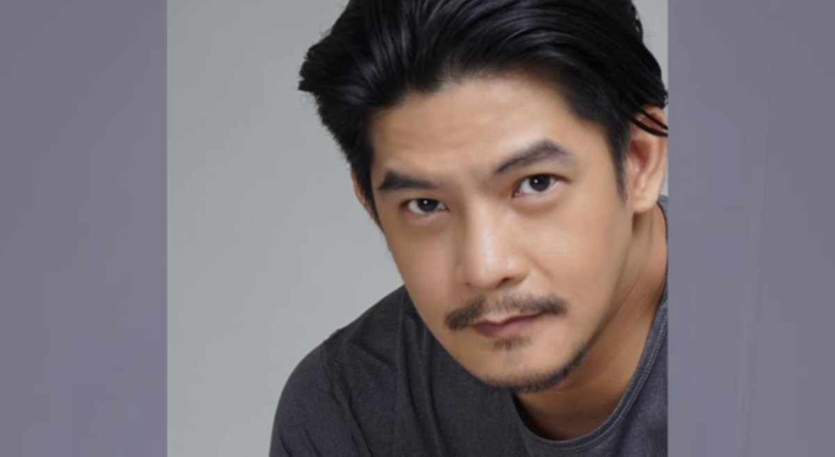 Romnick Sarmenta, 'di suportado mga kapuwa artistang kumakandidato