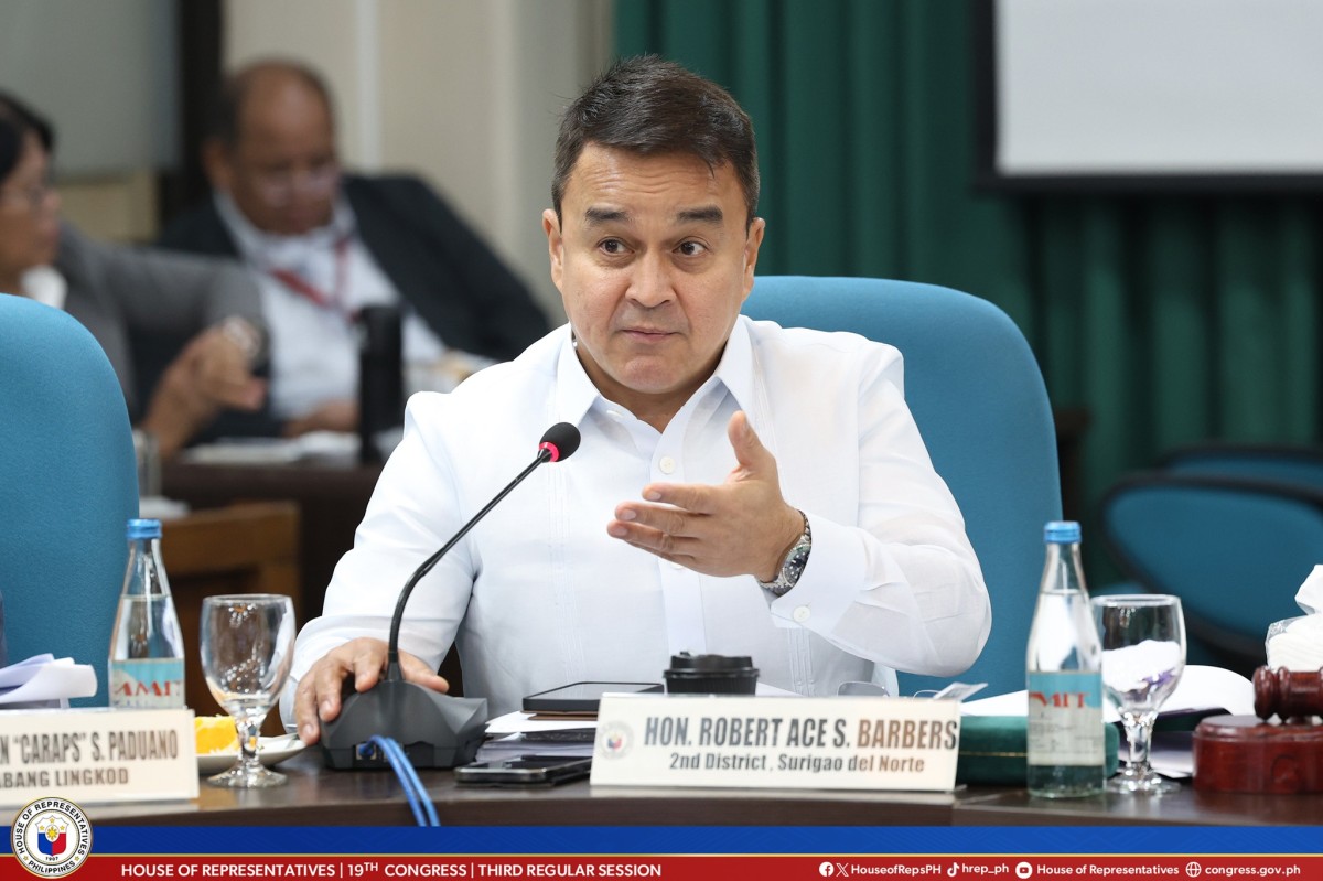 Vloggers, dapat magbayad ng buwis sa gobyerno&mdash;Rep. Barbers