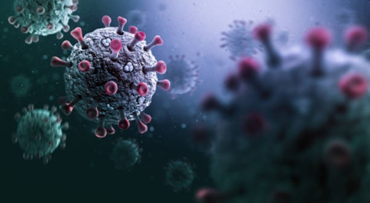 Chinese researchers, may natuklasang bagong coronavirus mula sa paniki