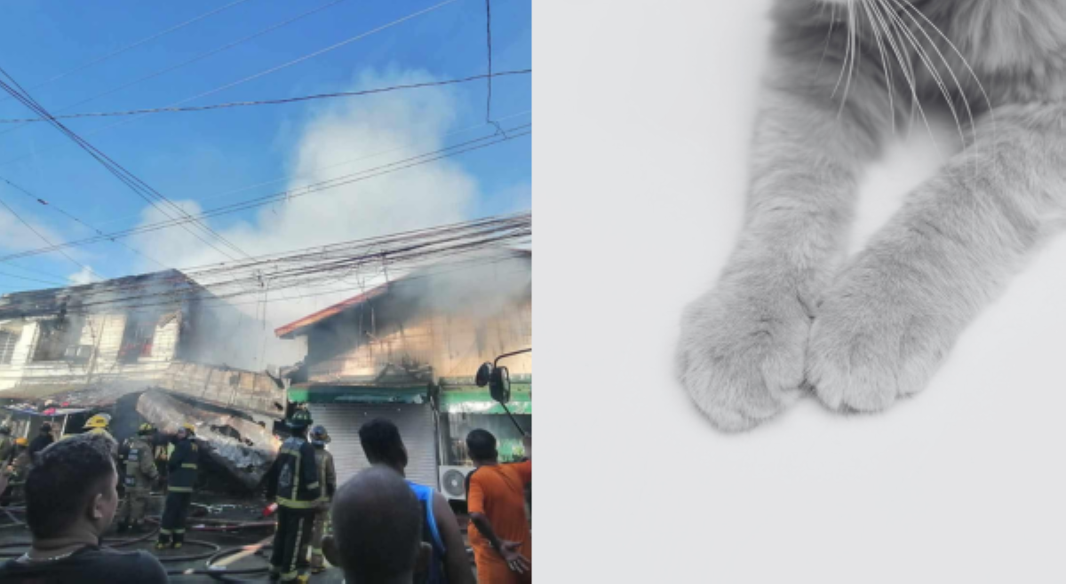 Tinatayang 13 pusa, patay sa sunog sa Pandancan, Maynila