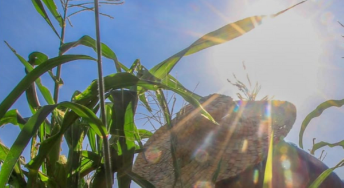 San Jose sa Occidental Mindoro, posibleng maranasan ang 'danger' level heat index sa Marso 6