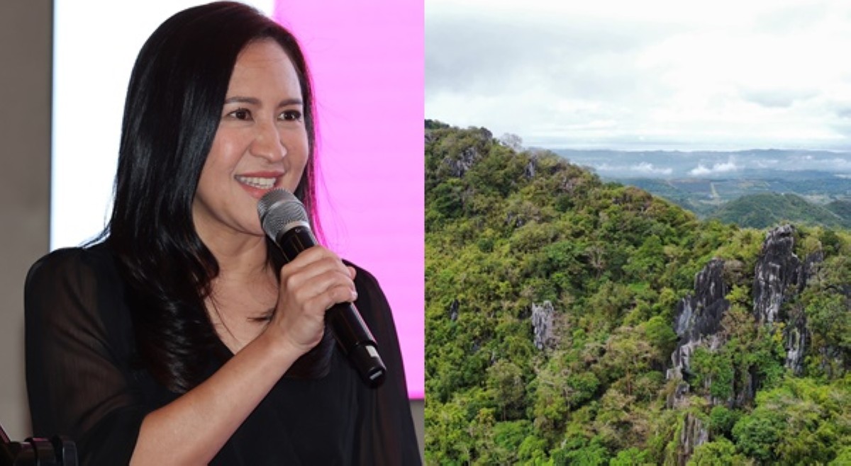 Belmonte nanawagang palakasin, panatilihin mga kagubatan