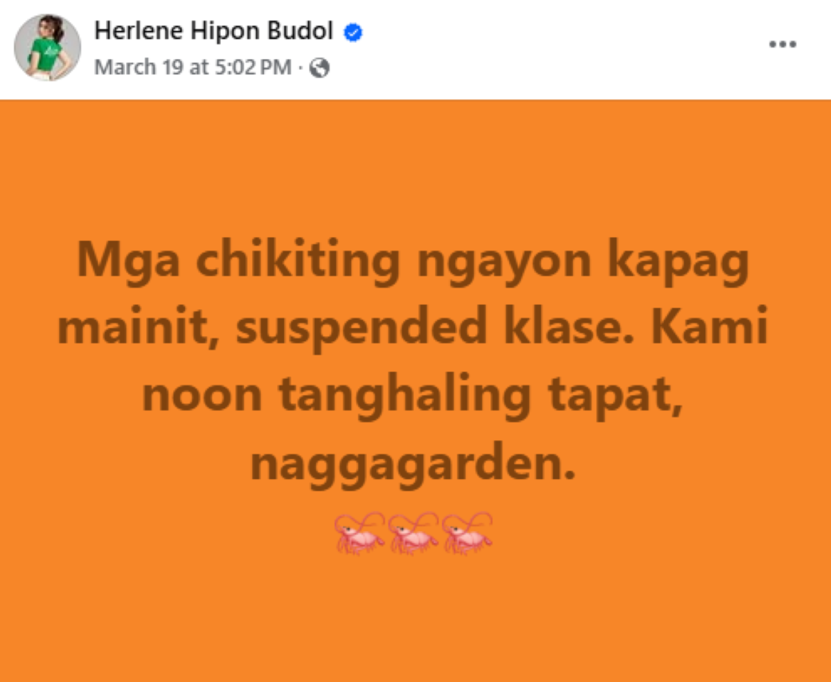 Photo courtesy: Herlene Hipon Budol (FB)