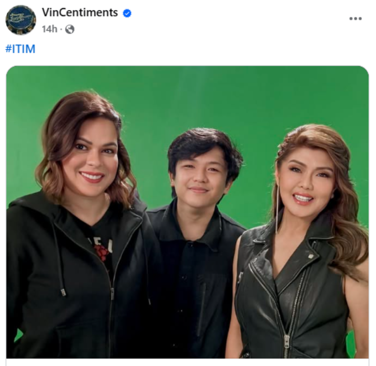 Photo courtesy: Screenshot from VinCentiments (FB)