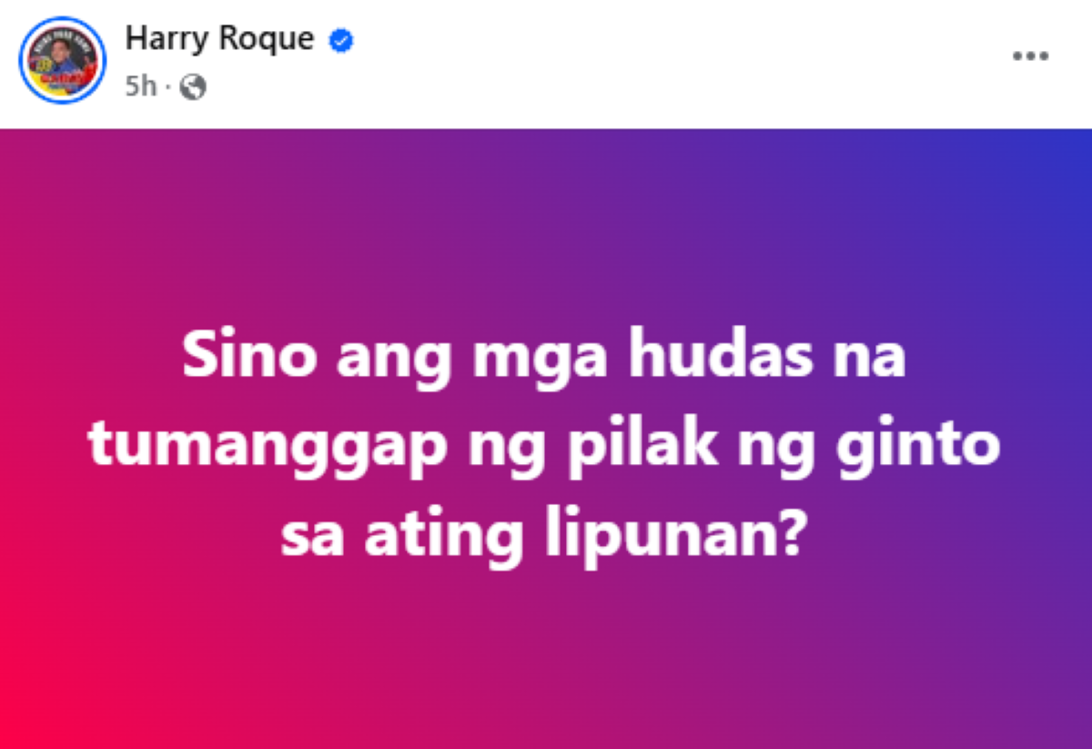 Photo courtesy: Screenshot from Harry Roque (FB)