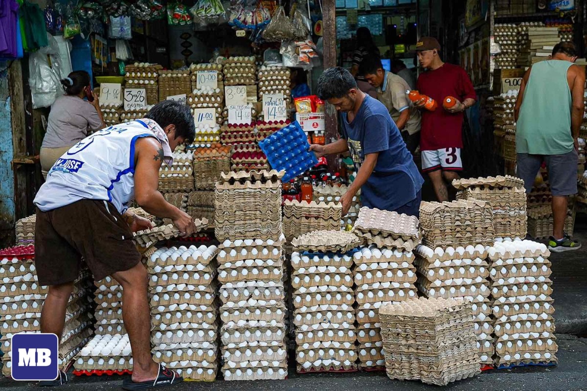 Size ng itlog, bakit nga ba lumiliit kapag tag-init?