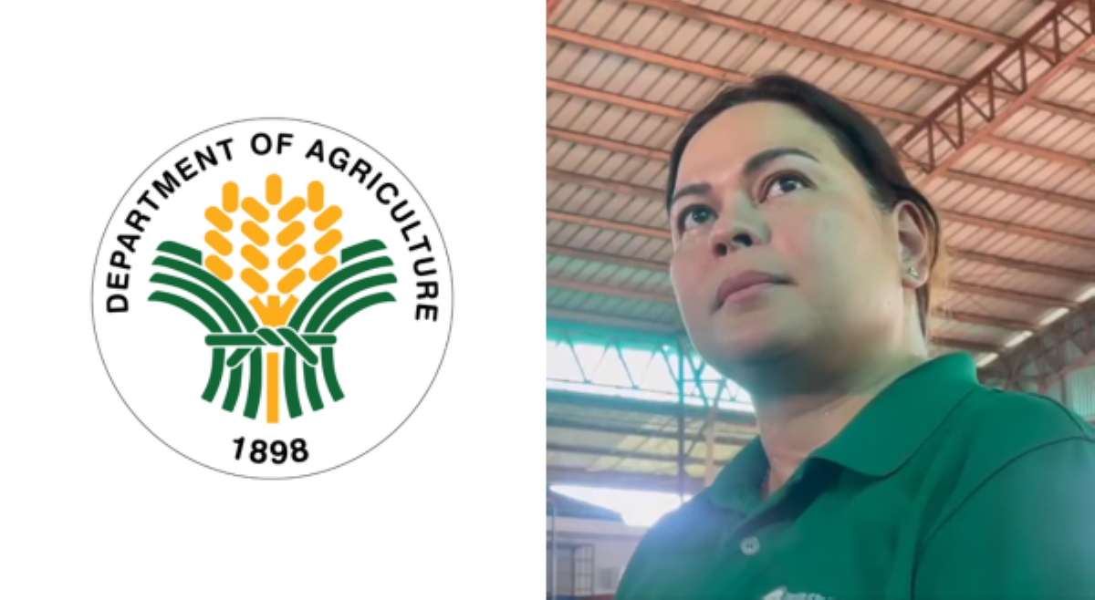 DA nasaktan sa paratang ni VP Sara sa ₱20 na bigas: 'DA family is deeply hurt'