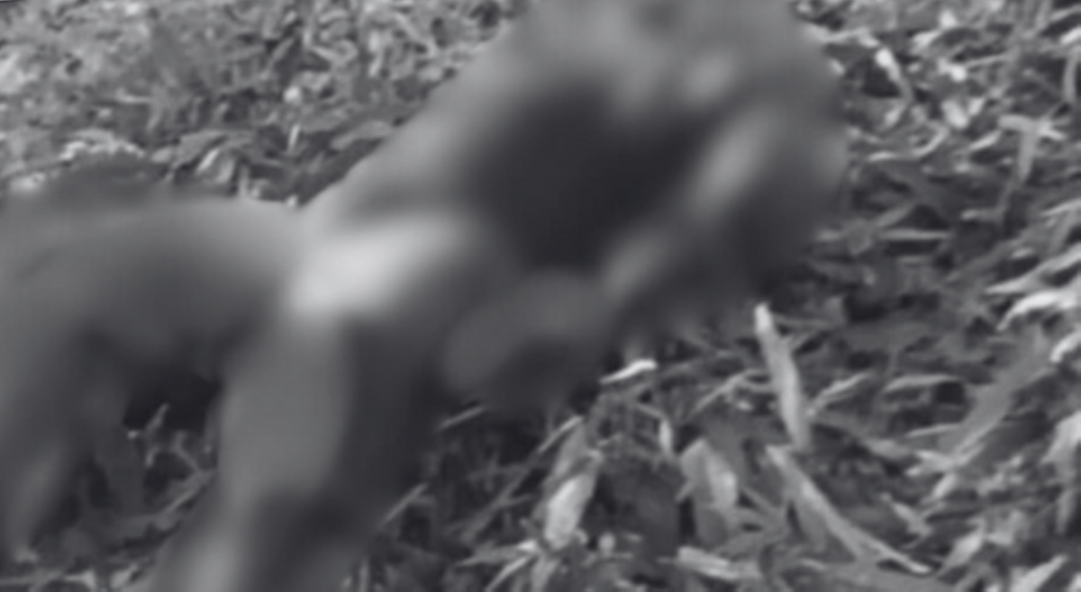 2 nabubulok na bangkay, natagpuan sa Rizal