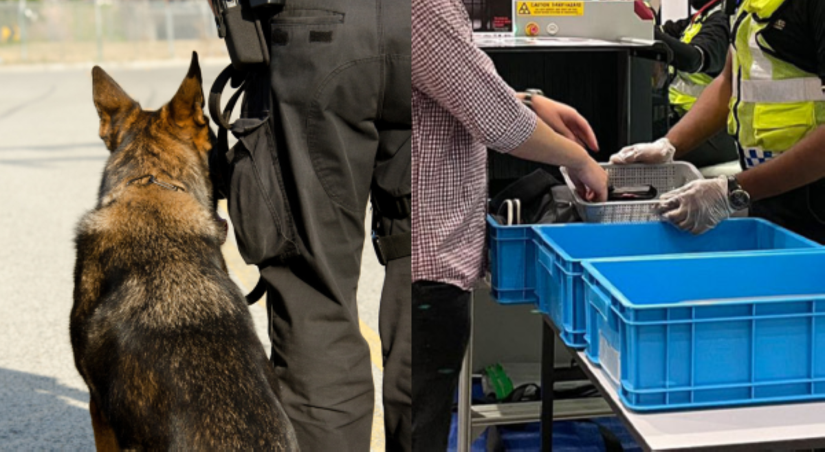 K9 units, balak ipalit sa mga X-ray machines sa LRT, MRT&mdash;DOTr