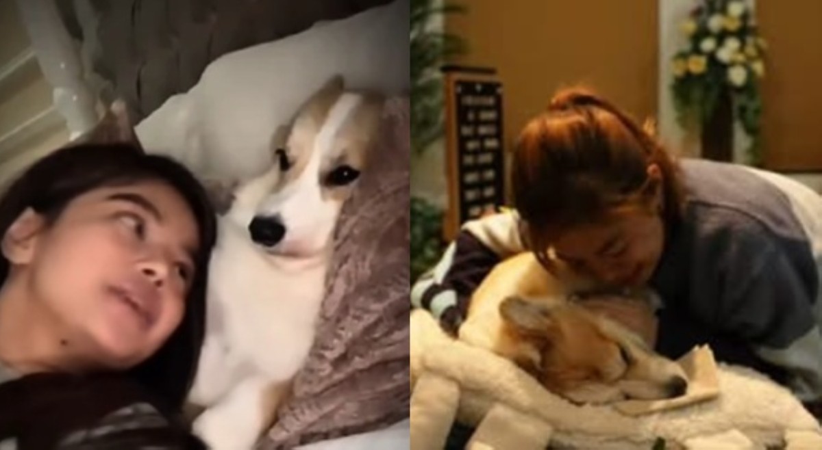 Bianca De Vera, saglit na nag-exit ng PBB house para masilayan yumaong pet dog