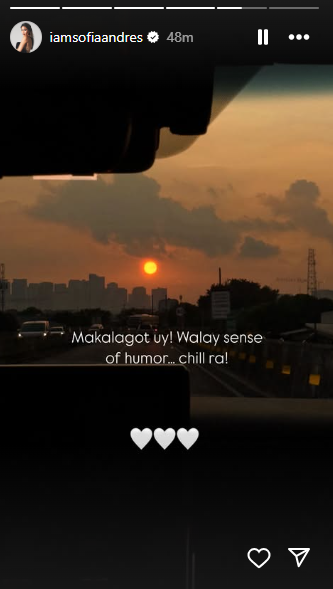 Photo courtesy: Screenshot from Sofia Andres (IG)