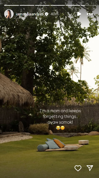 Photo courtesy: Screenshot from Sofia Andres (IG)