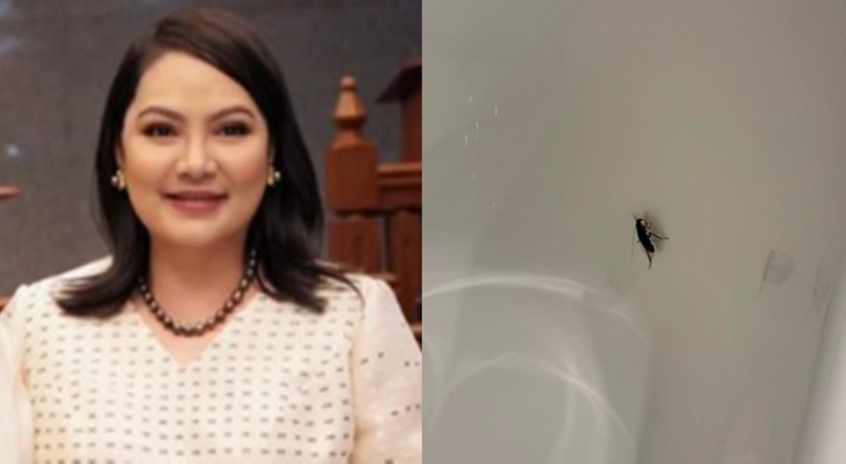 Misis ni Sen. Jinggoy, nabanas sa isang resort sa Boracay dahil sa ipis