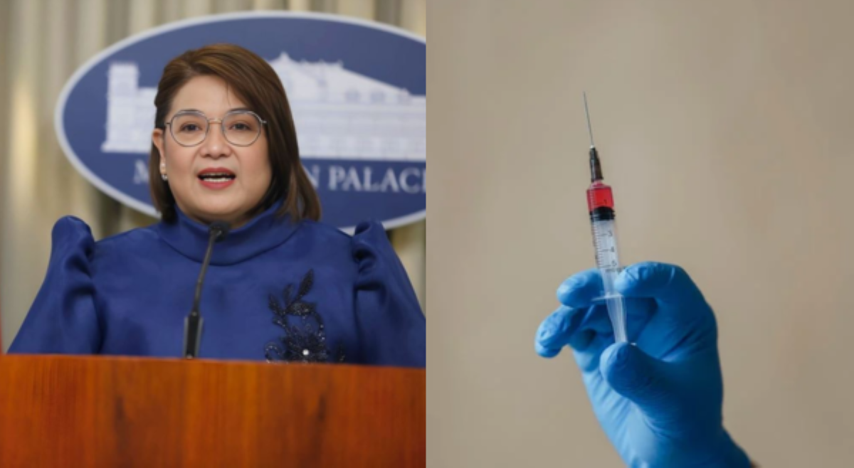 Anti-rabies vaccine, libre sa government hospitals &mdash; Usec. Castro