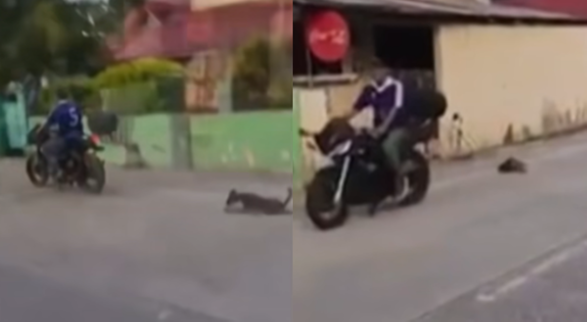 Aso nakaladkad ng motor sa Pangasinan
