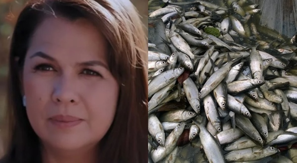 Lotlot De Leon, na-scam ng ₱80k sa pagbebenta ng boneless bangus