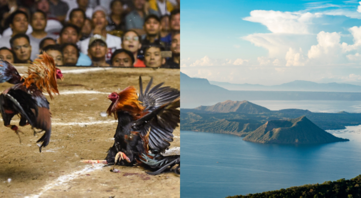 34 nawawalang sabungero, ilang drug lords, itinumba at inilibing sa Taal Lake 