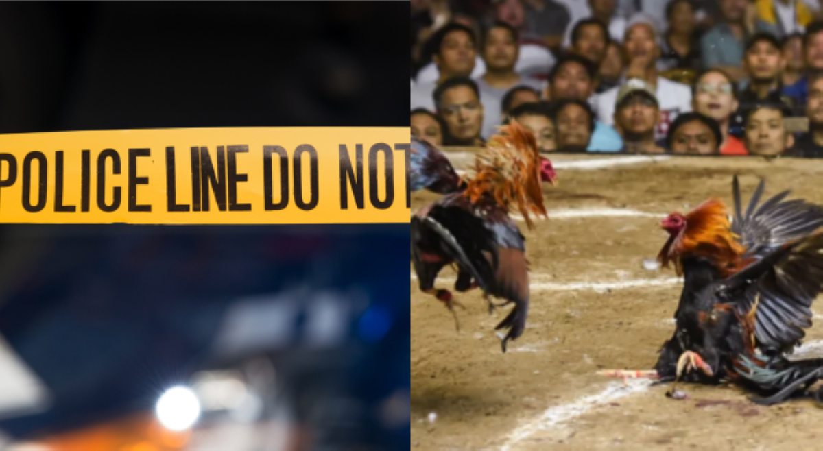 2 menor de edad na tagapagpatuka ng manok, kasama sa mga pinatay na nawawalang sabungero