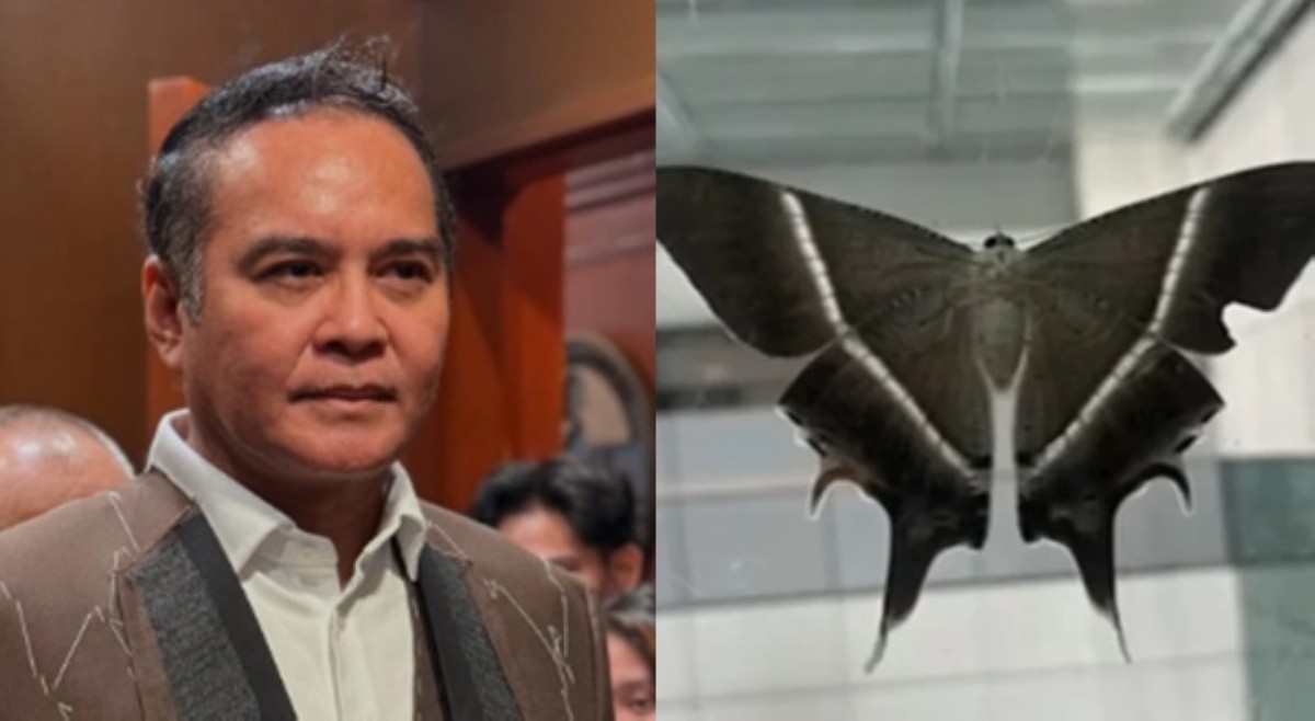 John Arcilla, naaalarma sa pagsulpot ng moths