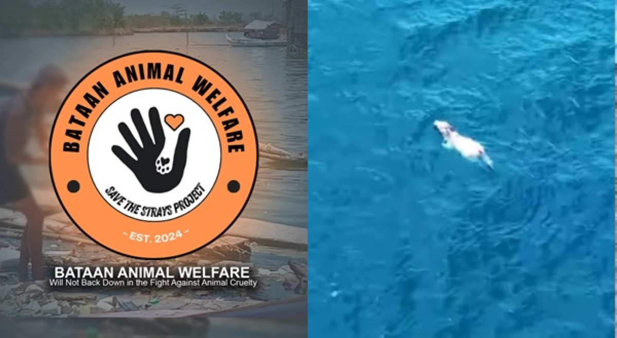 Bataan Animal Welfare, hinahanap bakang lumangoy sa dagat