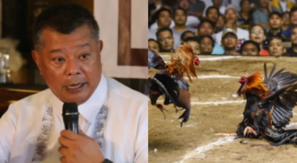 Mastermind sa mga nawawalang sabungero, maimpluwensya na, mapera pa!&mdash;DOJ