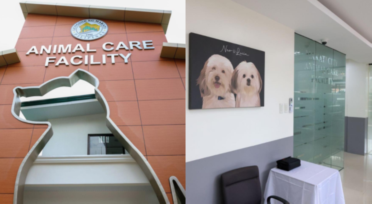 'Sana all!' Netizens, pinusuan bagong bukas na animal care center sa Makati City