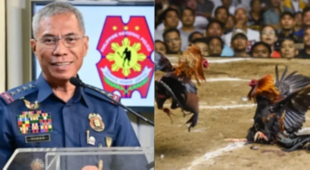 Torre sa mga pulis na umano'y sangkot sa isyu ng missing sabungeros: 'Everyone is protected!