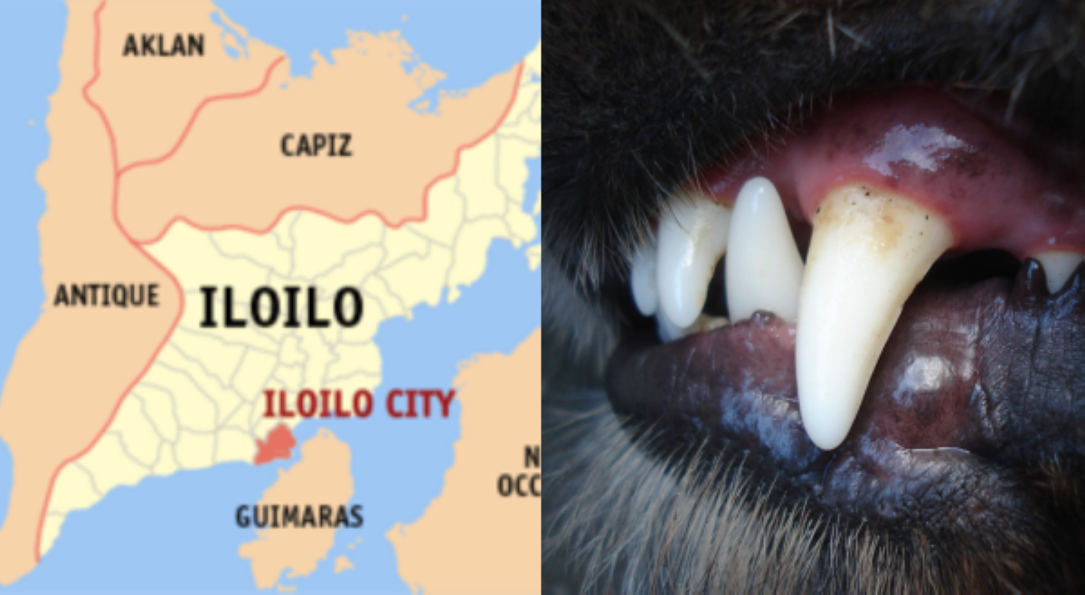 Asong gala sa Iloilo City, nambiktima na ng 20 katao