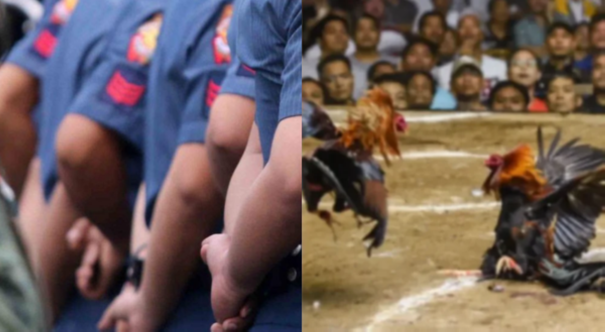 15 pulis na sangkot umano sa missing sabungero, &lsquo;under restricted duty&rsquo; na!