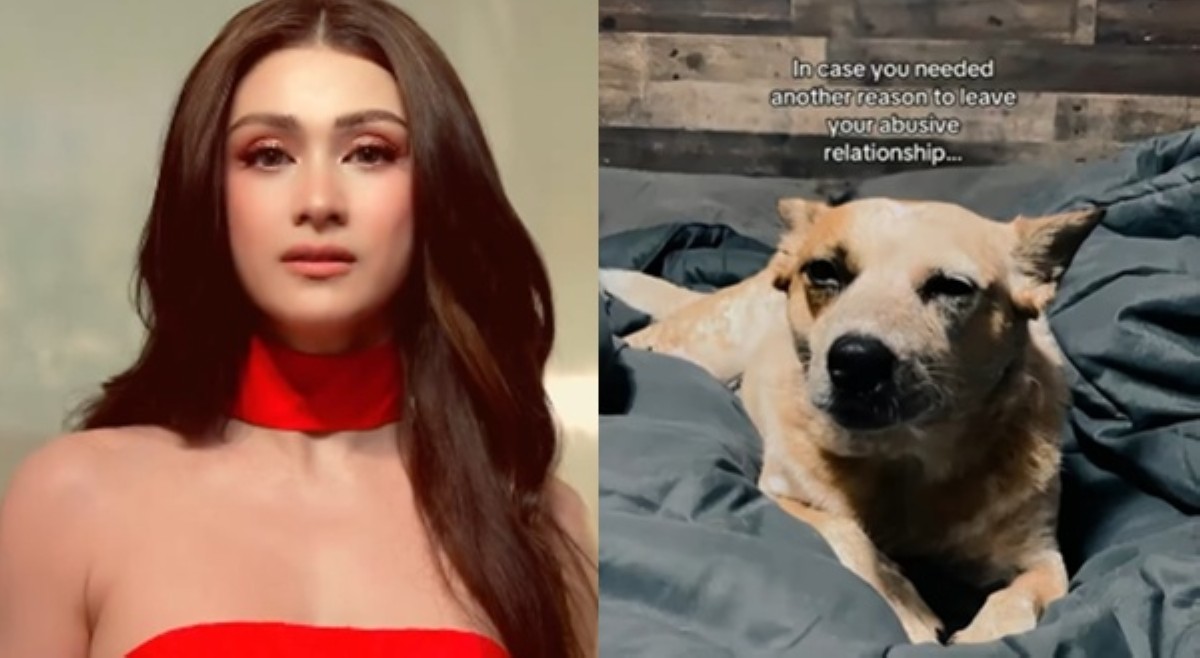 'Narcissistic ex' ni Carla Abellana, hinuhulaan kung sino