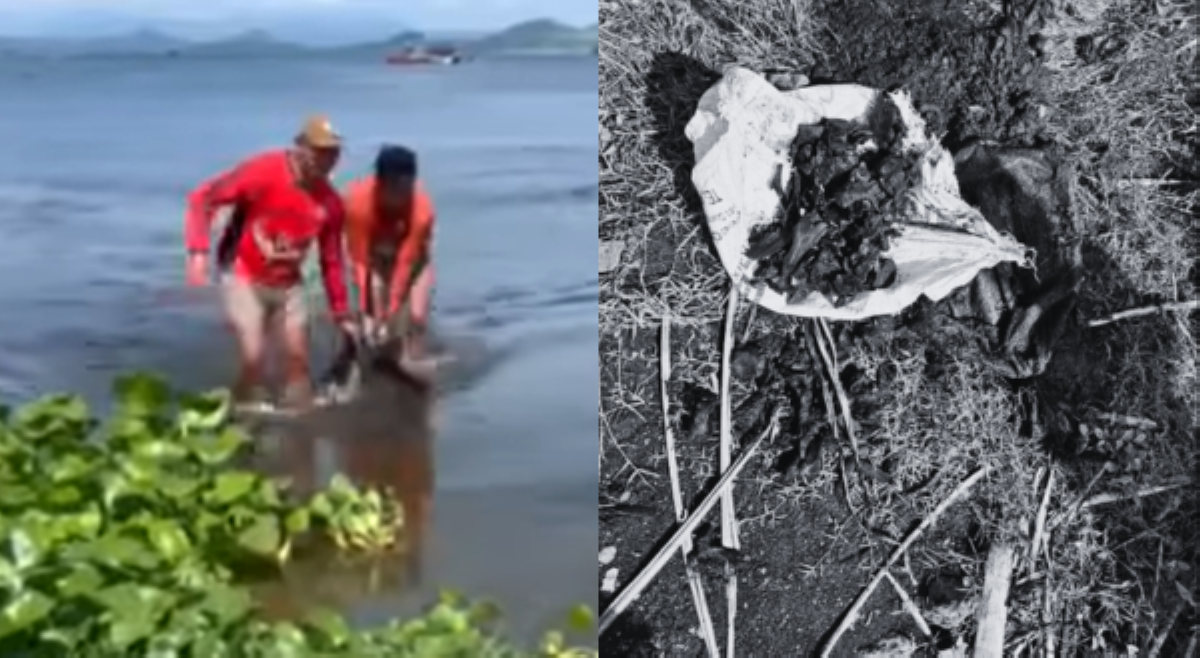 Sunog na mga butong nadekwat sa Taal lake, tao kaya?
