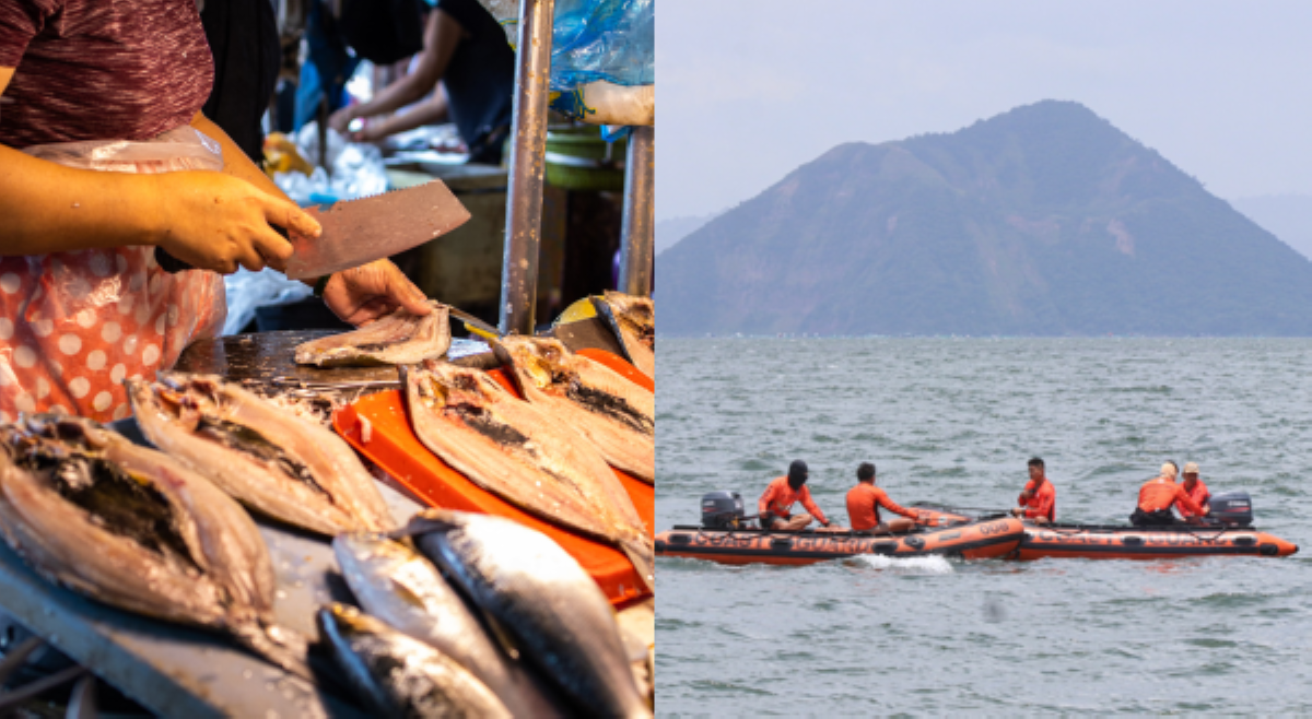 Pagluwas sa mga isda mula Taal Lake pa-Maynila, apektado ng retrieval operations ng PCG