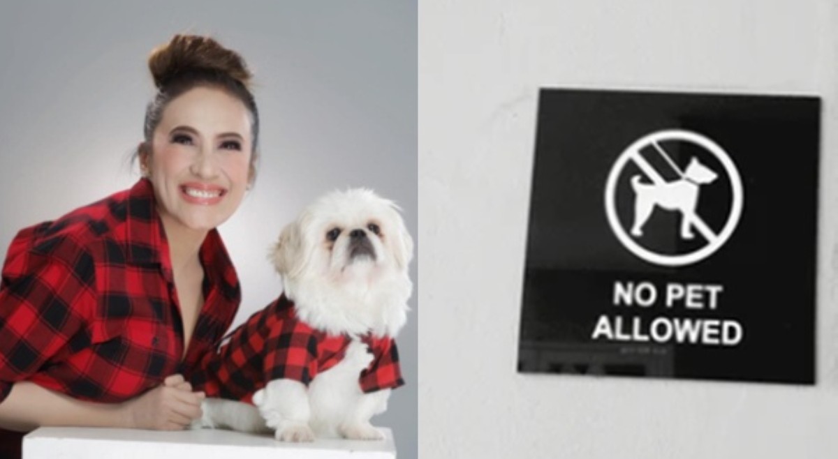 Open letter ni Ai Ai sa coffee shop dahil sa pet dog niya, umani ng reaksiyon