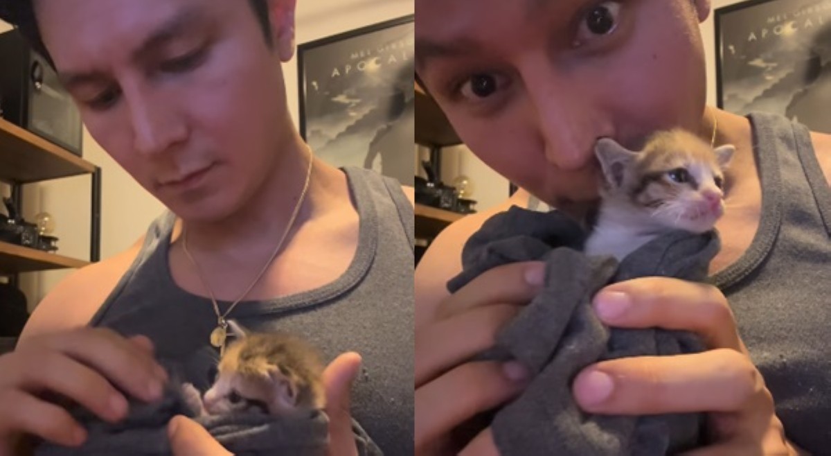 Pagkupkop ni Joseph Marco sa pusa, bumihag sa puso; netizens, bet maging kuting