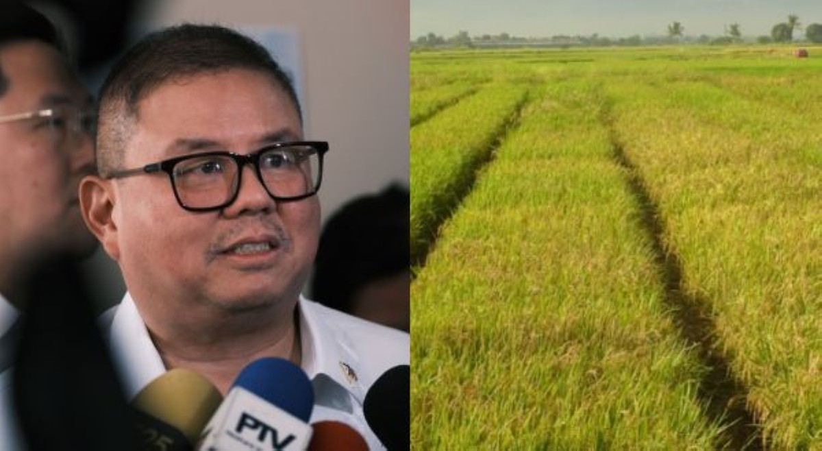 ₱20 bigas, raratsada na sa buong bansa