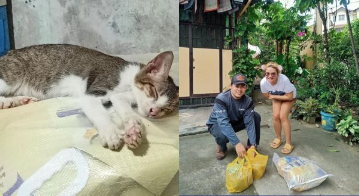 KILALANIN: Rider sa Antipolo na may iba't ibang raket para sa mga alagang pusa