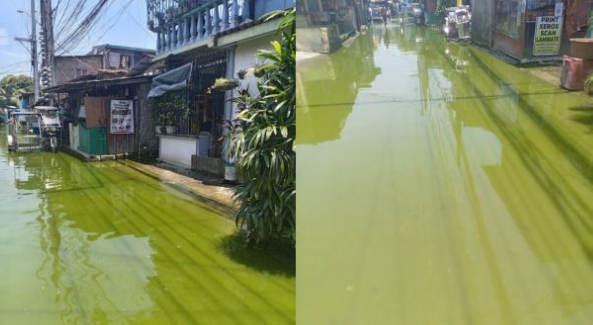 Baha sa Laguna, 'matcha flavor' na