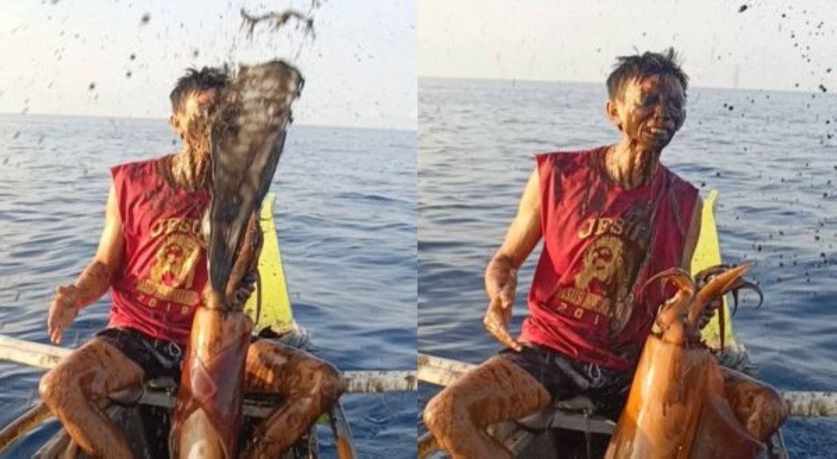 Mangingisda sa Romblon, napulanditan sa mukha ng higanteng pusit