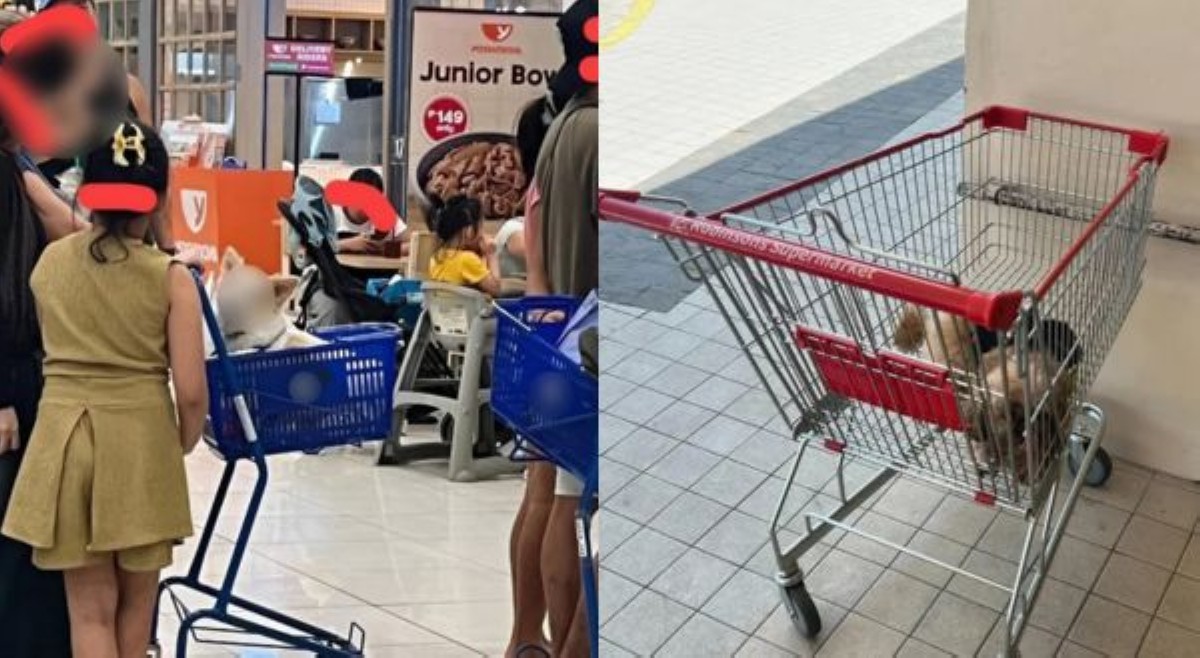 &lsquo;Wala man lang sumita?' Fur pet na nasa cart, pumukaw sa atensyon ng netizens online