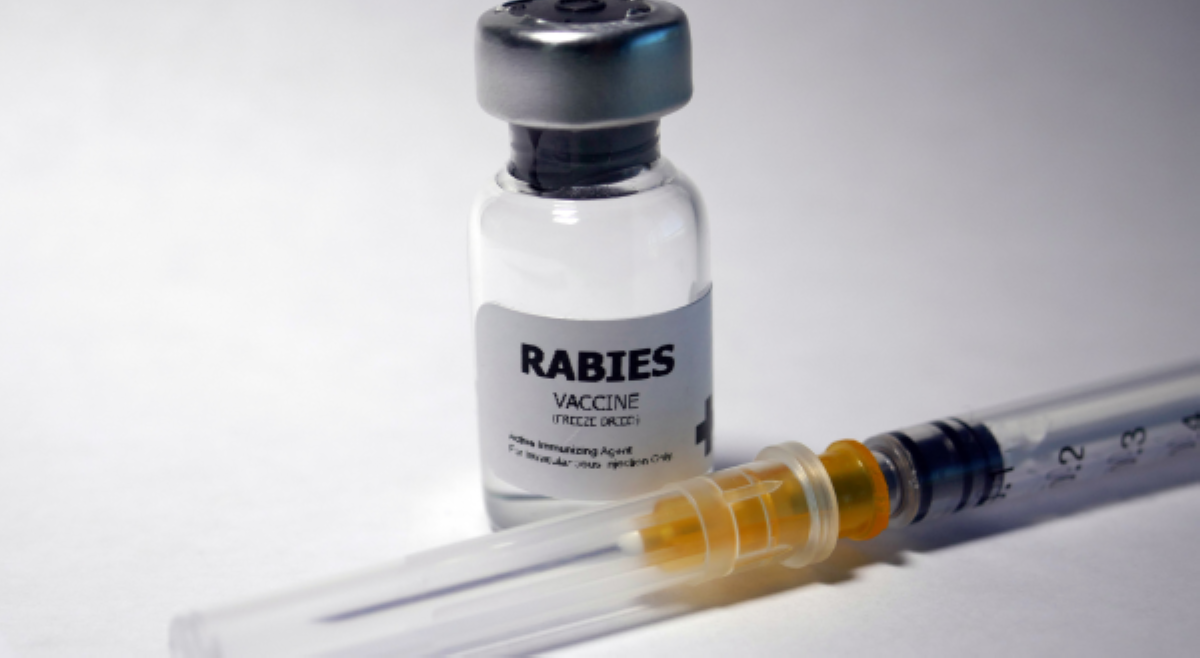Kaso ng rabies sa bansa, bumaba ng 21%