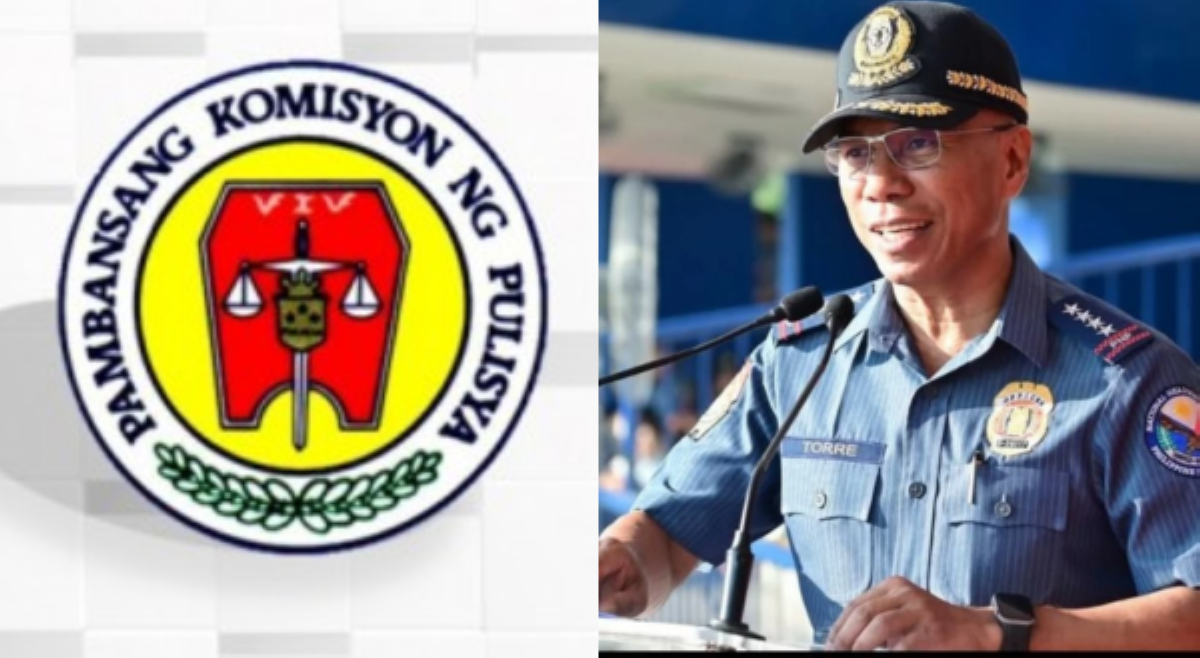 &lsquo;Anyare?&rsquo; NAPOLCOM, kinontra mga itinalagang opisyal na ipinosisyon ni Torre