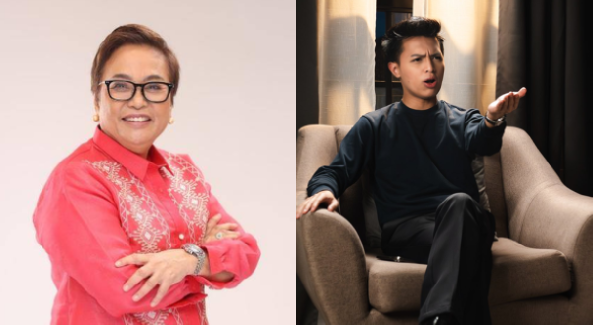Rowena Guanzon, pinapa-check tax ni Josh Mojica sa BIR